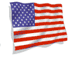 U.S. FLAG