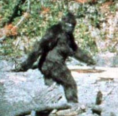 Patterson/Gimlin Film Frame